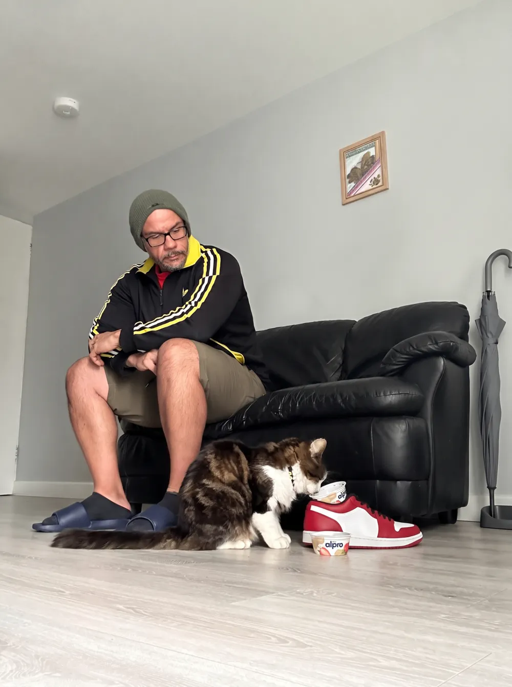Real photo: Goober eating from a yogurt cup beside a sneaker, by the sofa